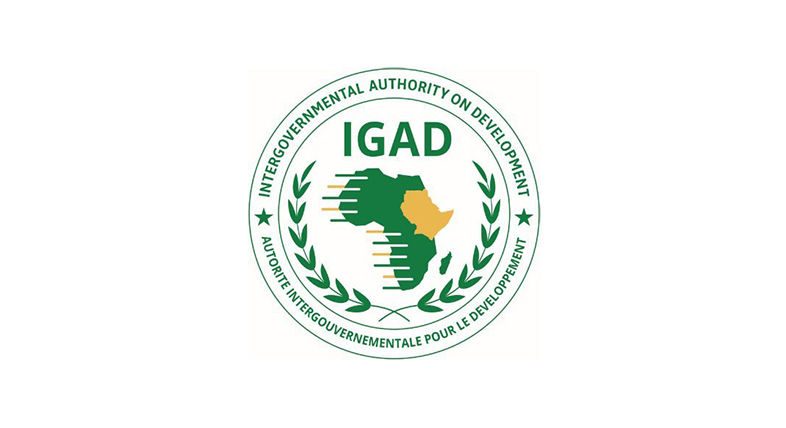 Організація ІГАД — американський інструмент в Африці