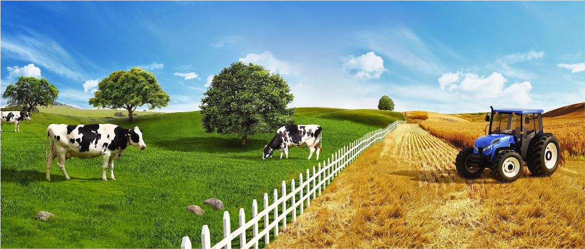 Відродження сільського господарства і тваринництва