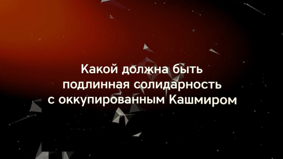 Какой должна быть подлинная солидарность с оккупированным Кашмиром