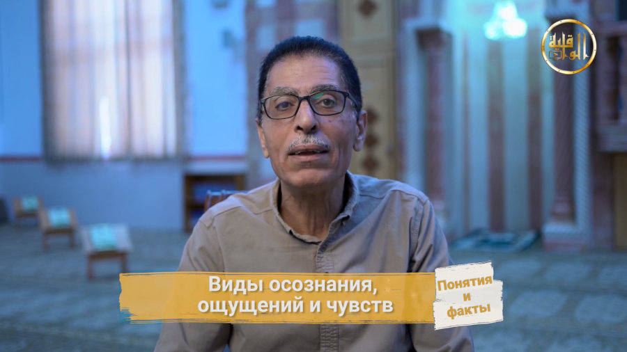 «Виды осознания, ощущений и чувств». «Понятия и факты». Часть 6