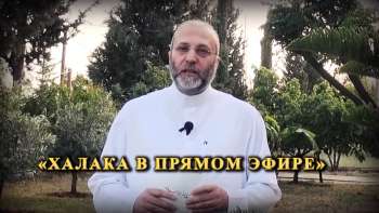 Профессор Ахмад Аль-Къасас Тизер-трейлер - Халака в прямом эфире