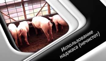 Использование наджаса (нечистот) Использование наджаса (нечистот)